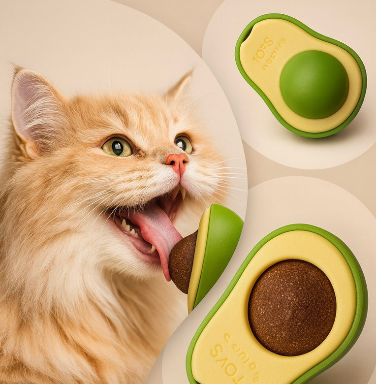 🥑 AvoCat™  El juguete que vuelve loco a tu gato 😻