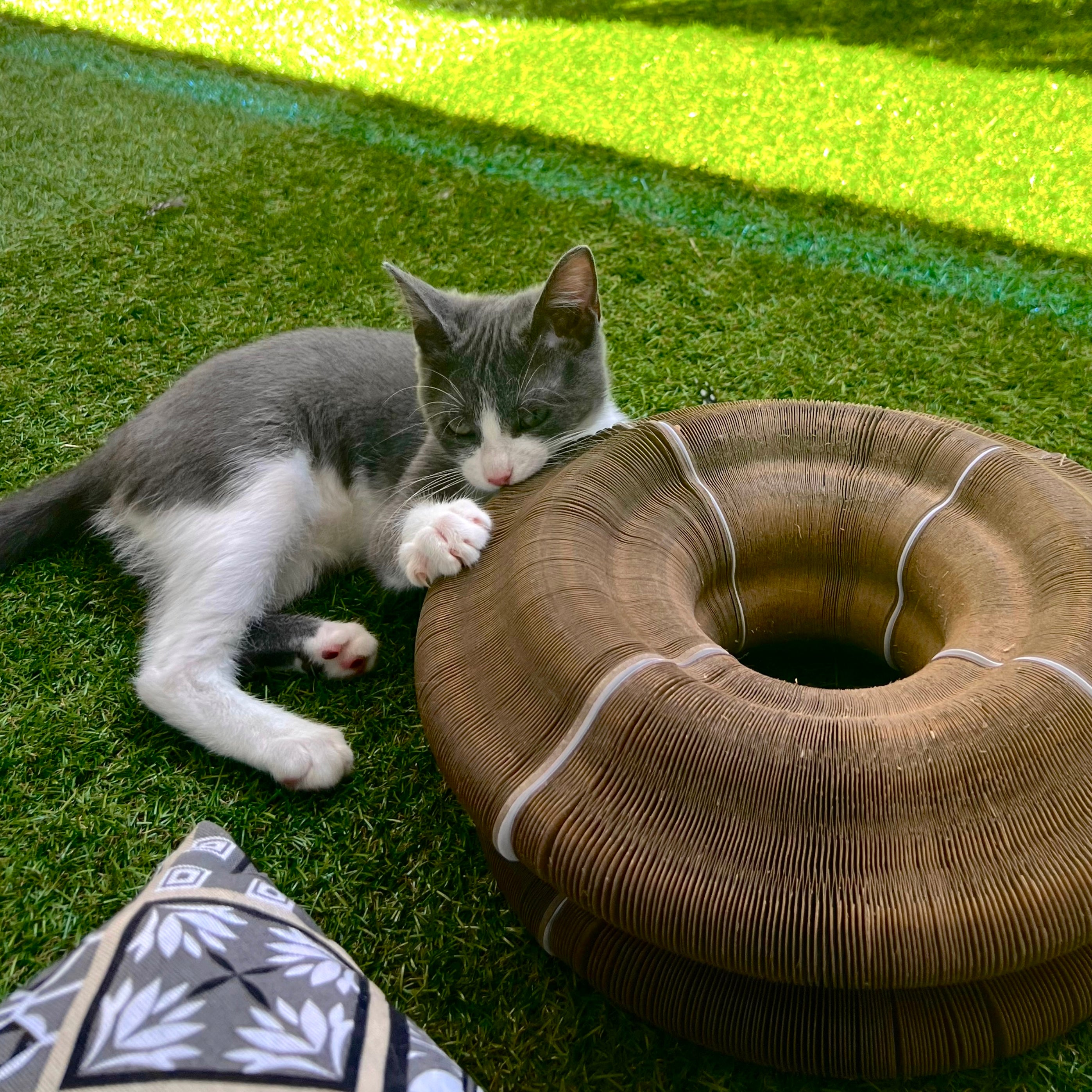 Alora Zen™ – El rascador modular que relaja, entretiene y conecta con tu gato