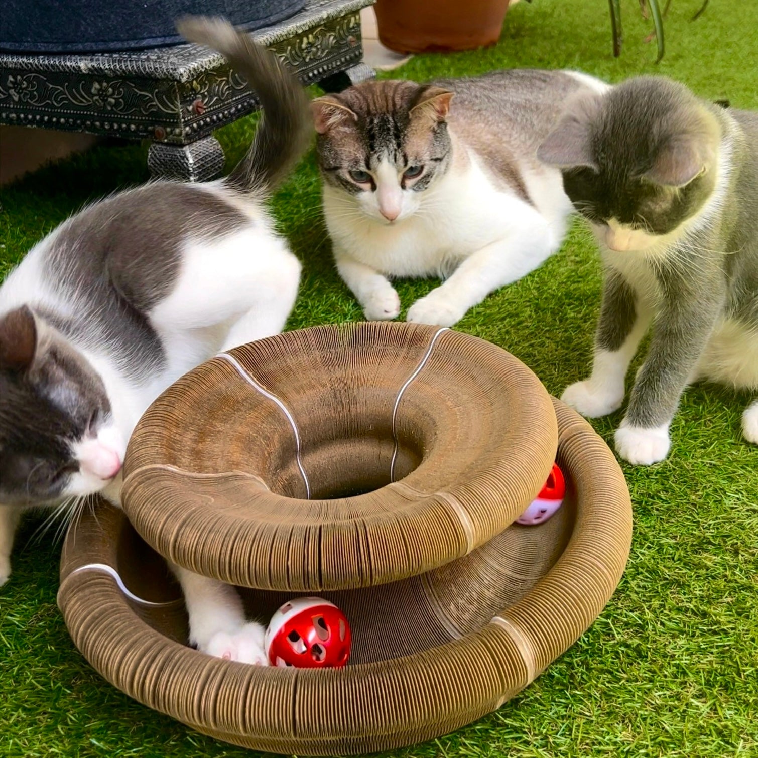 Alora Zen™ – El rascador modular que relaja, entretiene y conecta con tu gato