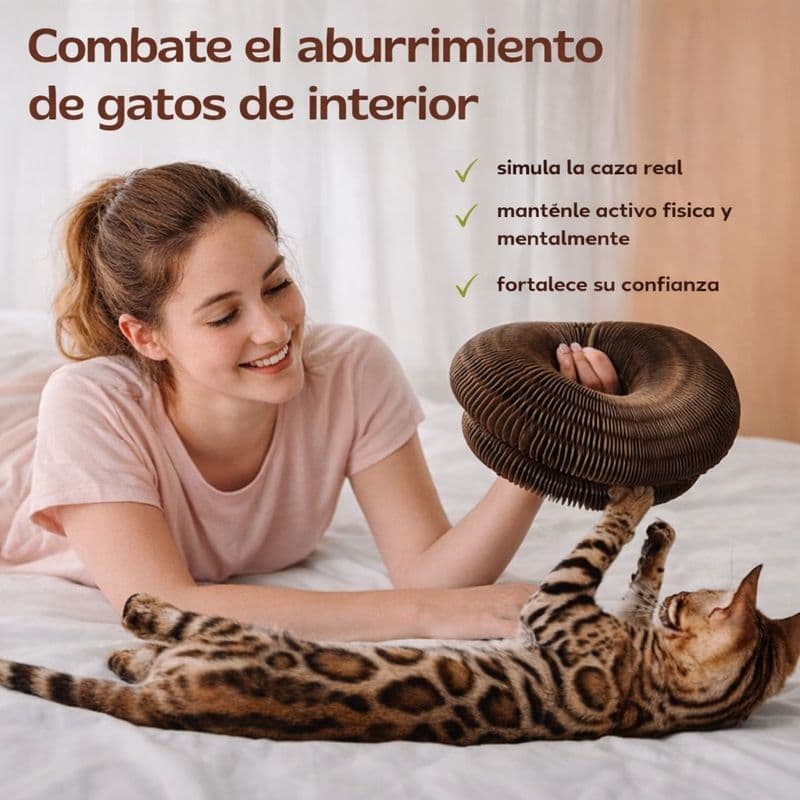 Alora Zen™ – El rascador modular que relaja, entretiene y conecta con tu gato