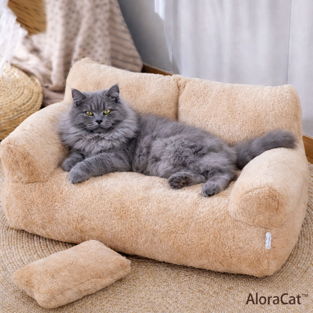 AloraSii™ Comodidad que enamora… el rincón que hace decir a tu michi: “Ahora sí. 😻