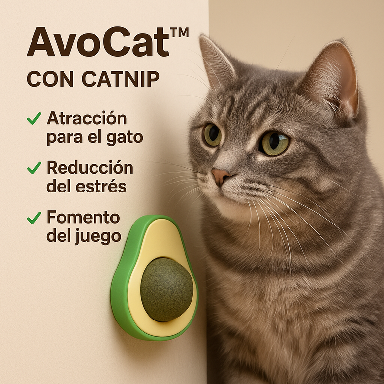 🥑 AvoCat™  El juguete que vuelve loco a tu gato 😻