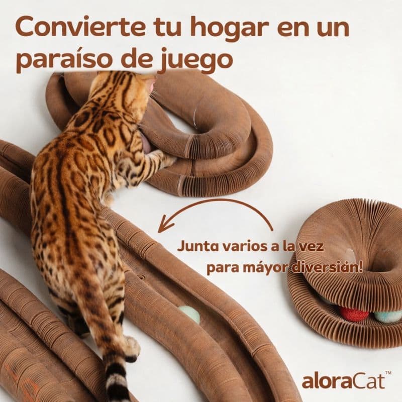 Alora Zen™ – El rascador modular que relaja, entretiene y conecta con tu gato