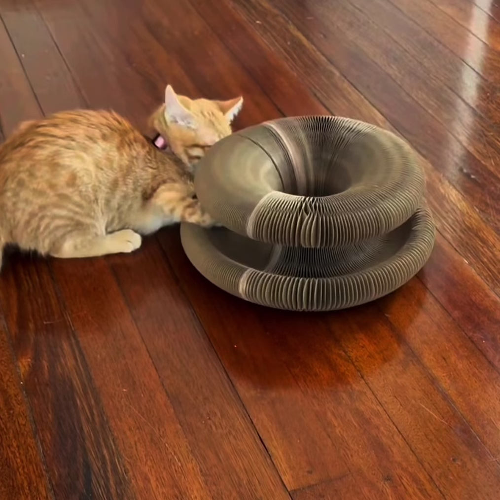 Alora Zen™ – El rascador modular que relaja, entretiene y conecta con tu gato