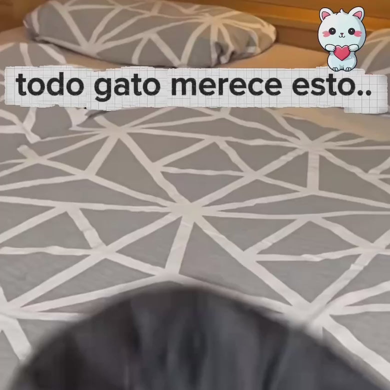 AloraFly™ – El pájaro interactivo que despierta el instinto cazador de tu gato